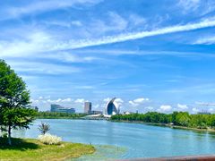 -南汇新城城市公园