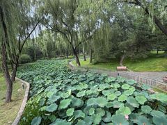 -仁和公园(顺义区)