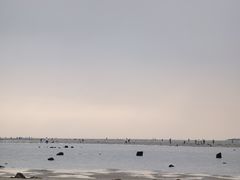 -北海金海湾红树林生态旅游区