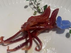 -同庆楼(天鹅湖万达店)