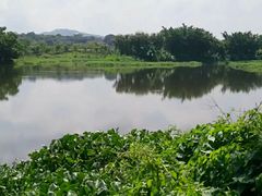 -鹤之洲湿地公园