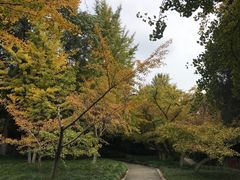 -太湖饭店玉兰厅(自助餐厅)