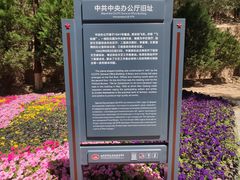 -延安杨家岭革命旧址