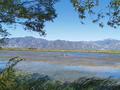 -野鸭湖国家湿地公园