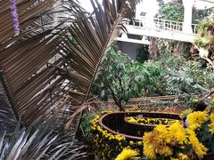 -正佳雨林生态植物园