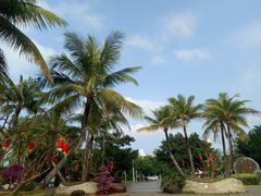 门面-白沙门生态公园