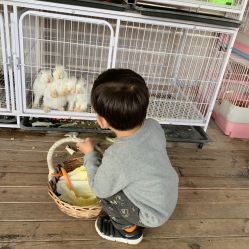 -小蜜蜂农场(凯德七宝购物广场店)