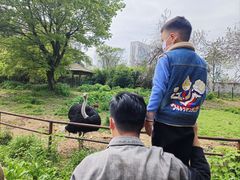 -南昌动物园