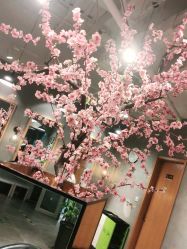 -时尚殿堂明星门店