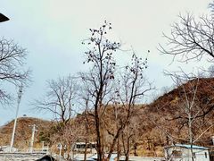 -水峪民俗村