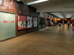 -香港大学