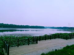 -素心小筑(后沙裕镇店)
