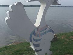 -丁香湖公园