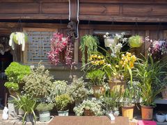 -龙姐私房菜(和顺古镇店)