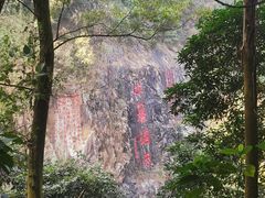 -水濂山森林公园