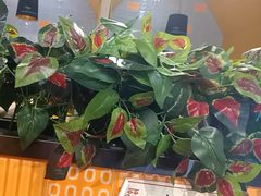 -四季喧黔味豆米火锅(万达广场店)