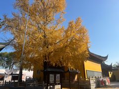 -上海青龙寺