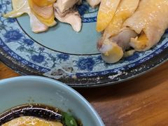 -九斤黄三黄鸡专卖店