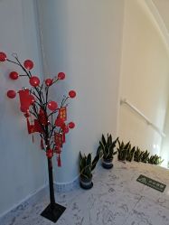 -海涛医疗美容·面部抗衰·注射美鼻