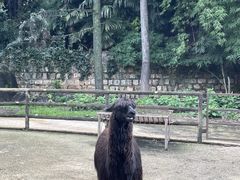 -昆明动物园