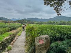-龙井壹号·茶缘山景宴(龙井村店)