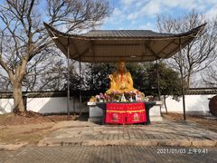 -上海佘山国家森林公园天马山园