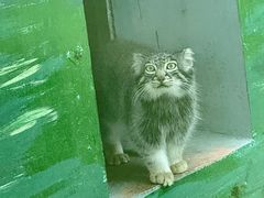 -青藏高原野生动物园