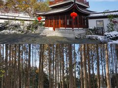 -清晏园