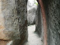 -金鸡山公园
