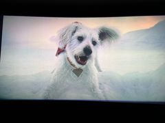 -AMG海上明珠影城(上海环球港RealDCinema店)