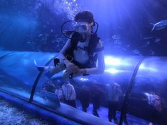 -太平洋海底世界