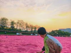 -春花秋色城市公园