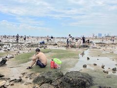 -巧克力渔家.小船海鲜胶东菜(万平口店)