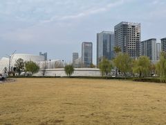 -金沙湖公园