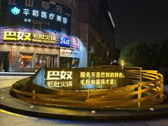 -巴奴毛肚火锅(大剧院店)