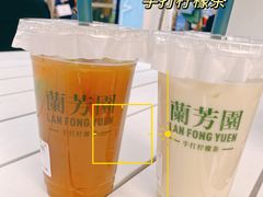 -兰芳园手打柠檬茶(下沙奥特莱斯店)