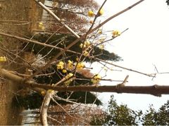 iphone_upload_pic-苏州太湖国家湿地公园