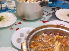 -千岛蚝高压锅生蚝·人参火锅(白云万达店)