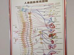 -张钰强中医正骨推拿连锁(华发商都店)