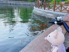 -迎泽公园