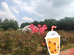 -天生桥景区