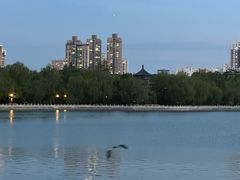 -迎泽公园