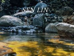 -湖泉半山温泉