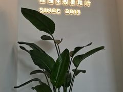 -树夏(金楠天街店)