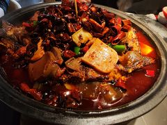 -辣尚瘾·烤鱼·新川菜(交大直营店)