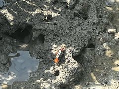 -北海金海湾红树林生态旅游区