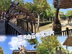 -上海野生动物园
