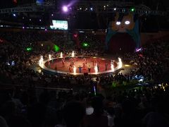 -俄罗斯国家大马戏团