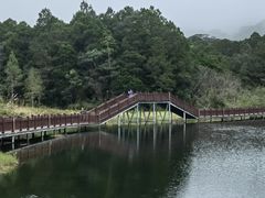 -海南热带雨林国家公园吊罗山景区