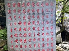 -黄山翡翠谷景区